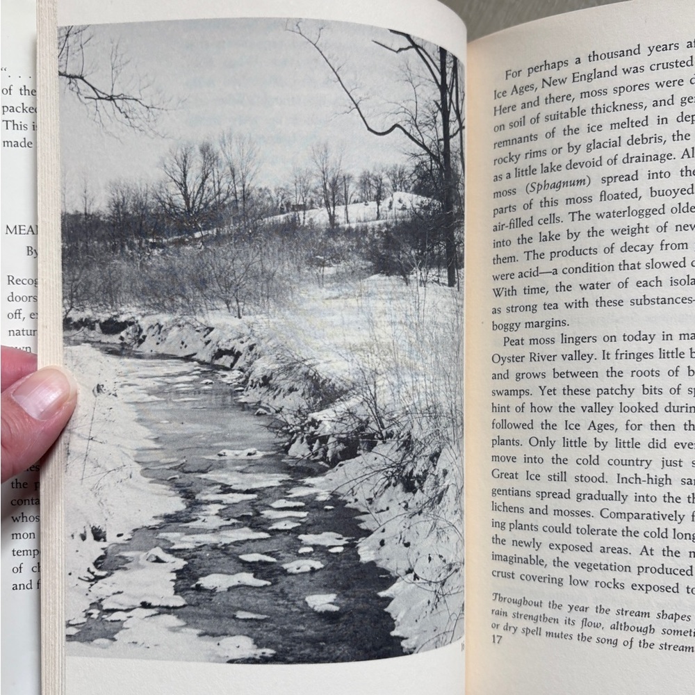 Signed 1963 The Valley Meadow Grove Stream Durham NH Oyster River New Hampshire - Picture 8 of 13